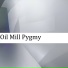 Pipikslav
