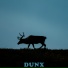Dunx