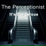 The Perceptionist