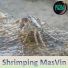 masvin