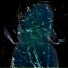 SOLOCASE
