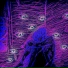deadrxse