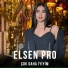 Elsen Pro