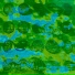 greenivy