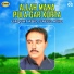 Liaquat Abid, Saeed Abid