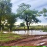 Los de Salta