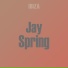 Jay Spring