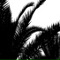 Aeral, Eiriel