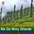 Abbas Ahmad
