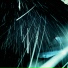 wysis