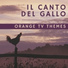 Orange Tv Themes