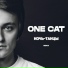 One Cat