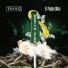 Troublez, El Pinche Mata feat. Don Changolini 4000
