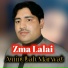 Aminullah Marwat