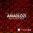 Apple Jazz feat. Idelan, Slaga