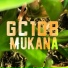 GC108
