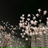 fadinglight