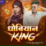 Nitu Sargam Yadav, Nilesh Dhobi