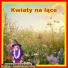 Sanjaya Jasna Strona Mocy