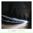 S. Carey
