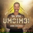 Andile Mpisane feat. Madanon, Distruction Boyz