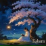 Kabara