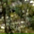 exiphase