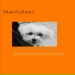 Max Callioni