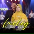 Dearen Okta feat. Abida Laila