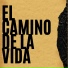 Sebastián Muñoz
