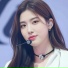 Zhy Zhujing