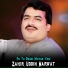 Zahir Uddin Marwat
