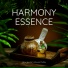 Spa Music Collection
