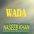 Naseeb Khan