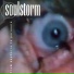 Soulstorm