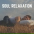 Insomnia Music Universe