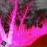 DevilNeverCry