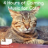 RelaxMyCat