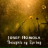 Josef Homola