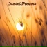 symphony orchestra sound sun beach sand summer