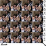 Seexh