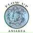 Aniakea