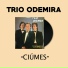 Trio Odemira