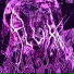 XDESTRAIGERX, PXCKDEVTH
