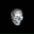 Raw Optics
