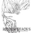 Dj Hidden