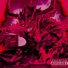 Valkoz