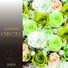 Luxury Orgel