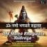 Pushpalata Borekar, Niraj Borekar