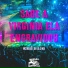 Mc Delux, DJ V.D.S Mix
